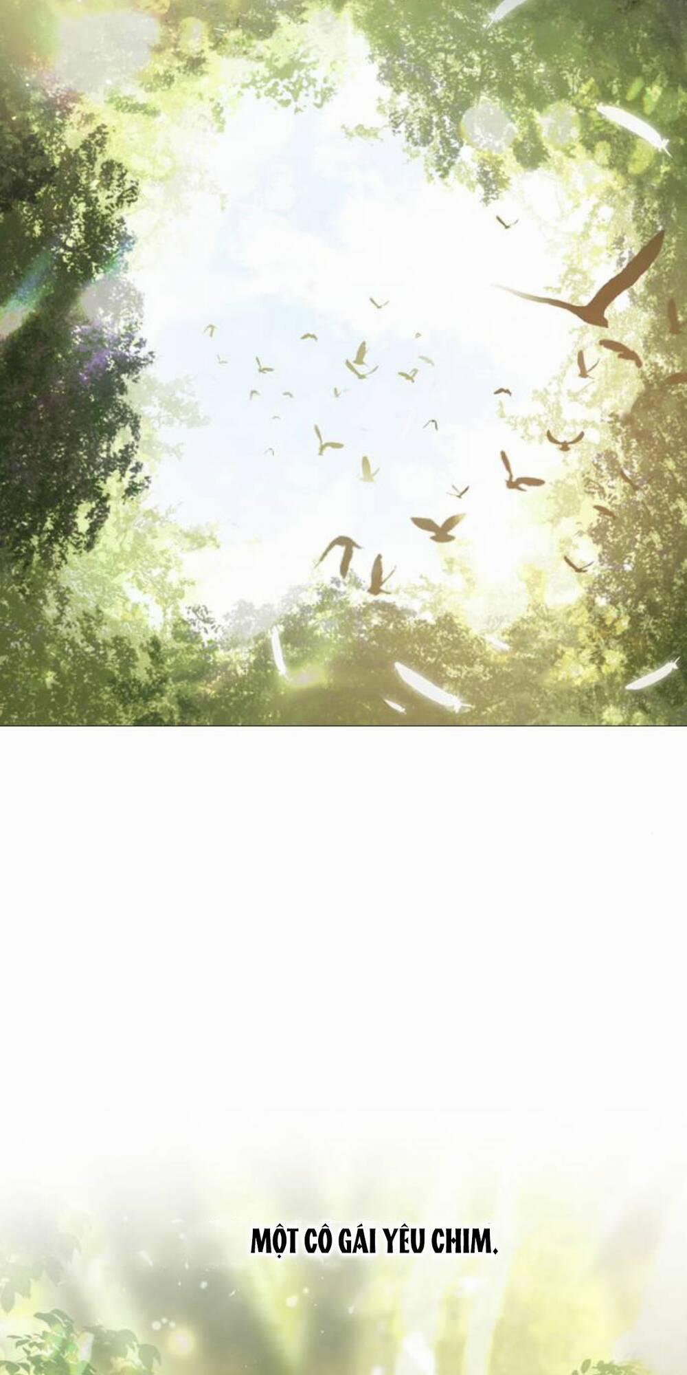 Khóc Đi, Hay Cầu Xin Tôi Cũng Được 2 trang 64