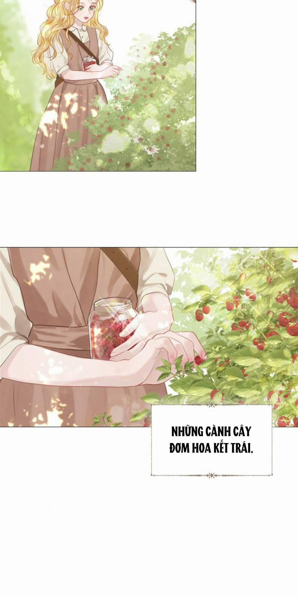 Khóc Đi, Hay Cầu Xin Tôi Cũng Được 2 trang 68