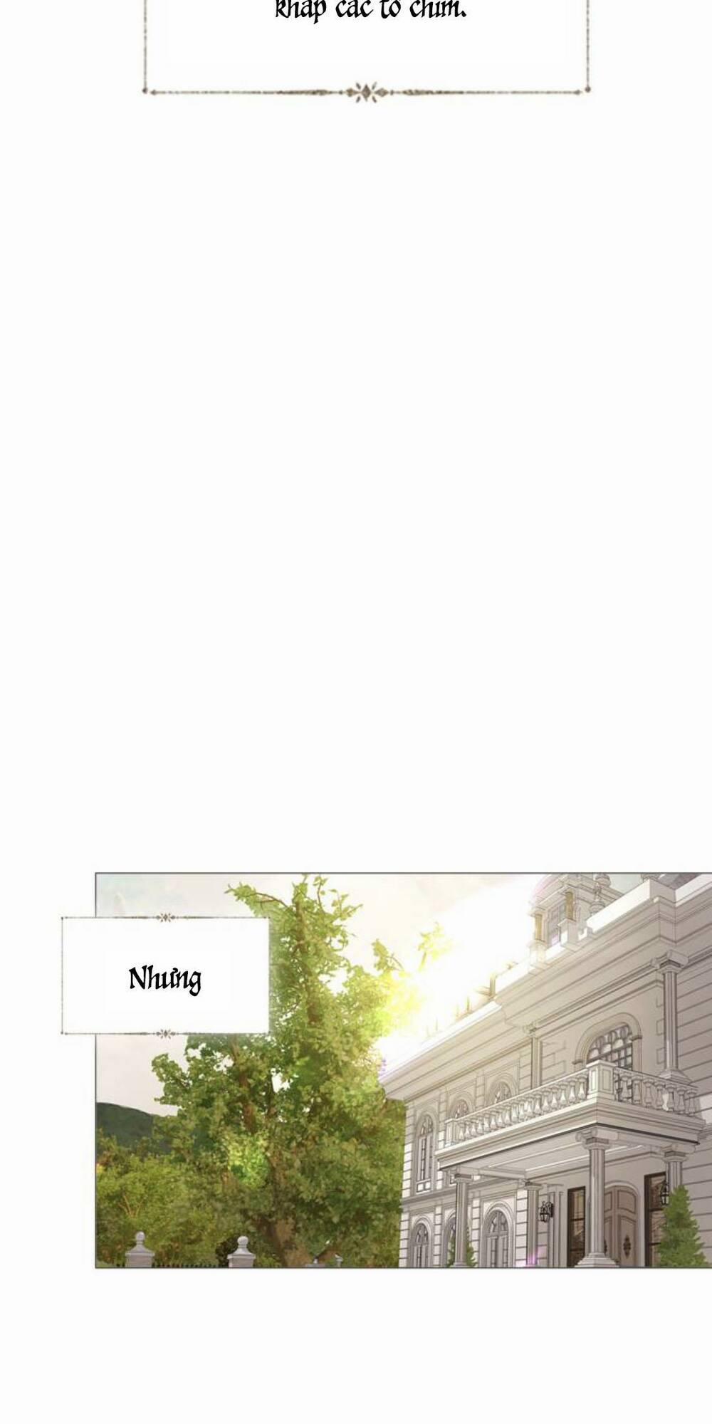 Khóc Đi, Hay Cầu Xin Tôi Cũng Được 20 trang 28