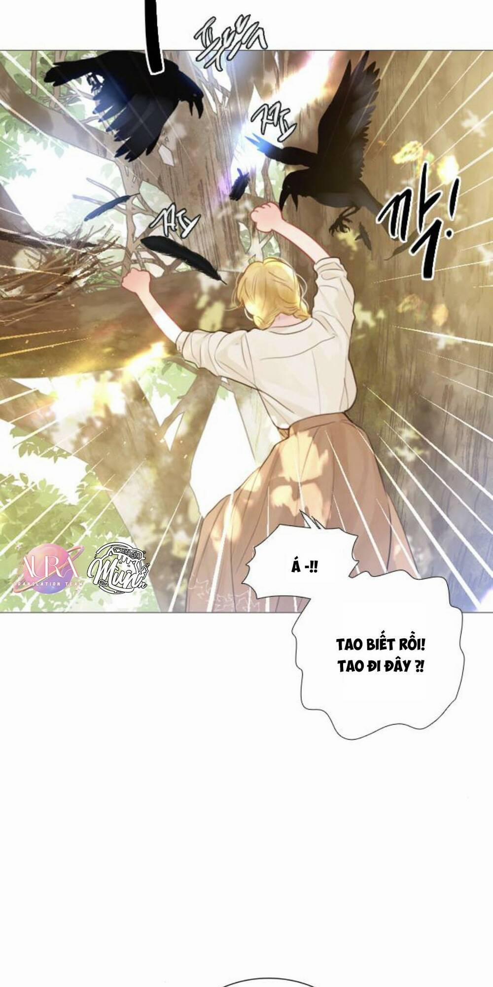 Khóc Đi, Hay Cầu Xin Tôi Cũng Được 20 trang 3