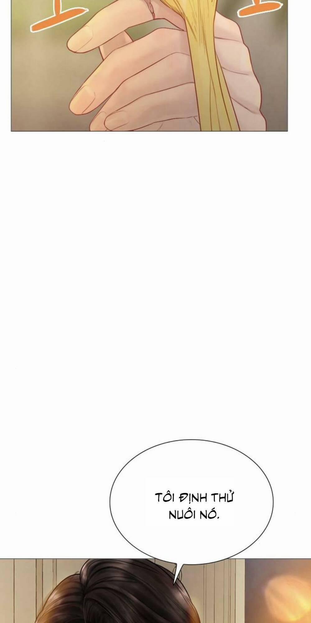 Khóc Đi, Hay Cầu Xin Tôi Cũng Được 21 trang 17