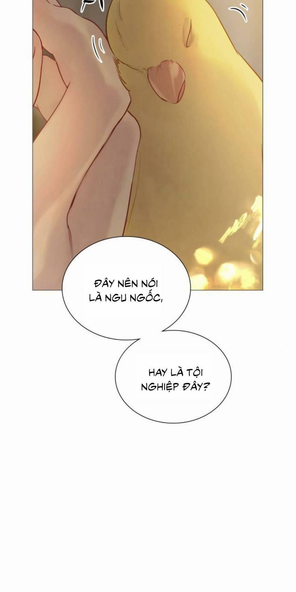 Khóc Đi, Hay Cầu Xin Tôi Cũng Được 21 trang 23