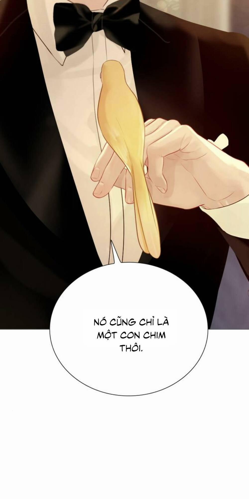 Khóc Đi, Hay Cầu Xin Tôi Cũng Được 21 trang 28