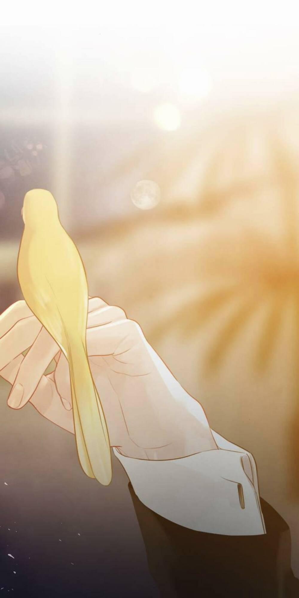 Khóc Đi, Hay Cầu Xin Tôi Cũng Được 21 trang 32