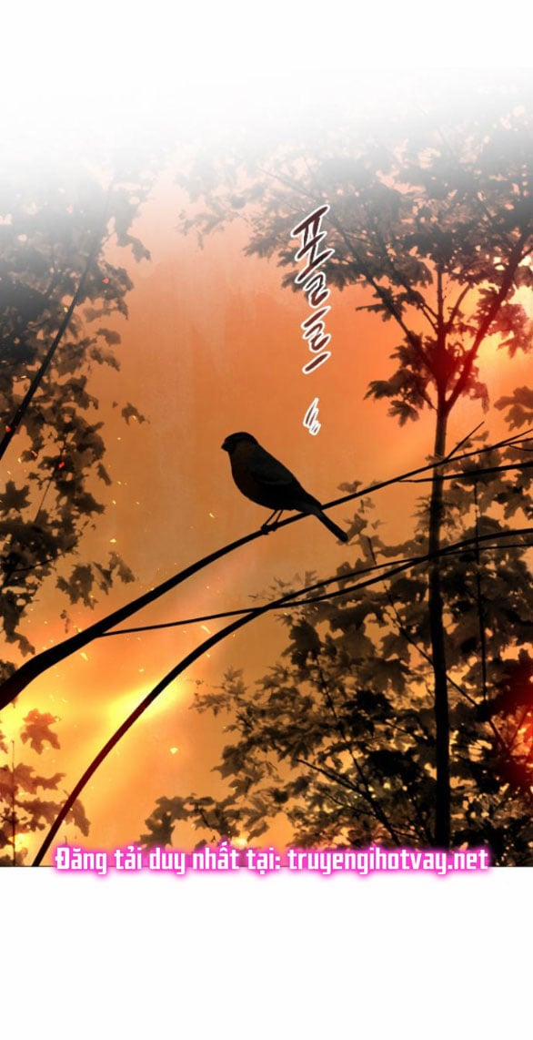 Khóc Đi, Hay Cầu Xin Tôi Cũng Được 23.2 trang 12