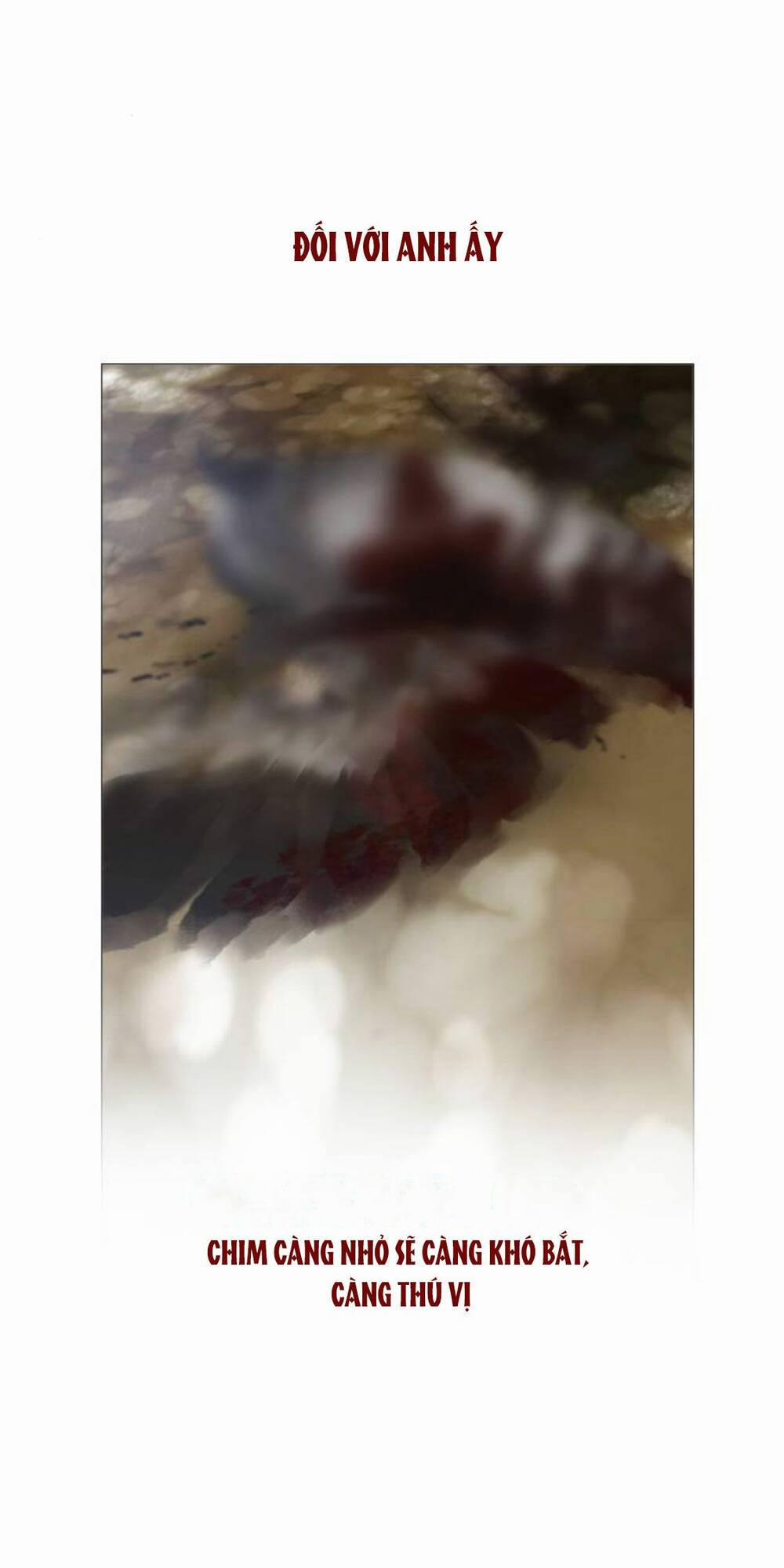 Khóc Đi, Hay Cầu Xin Tôi Cũng Được 4 trang 12