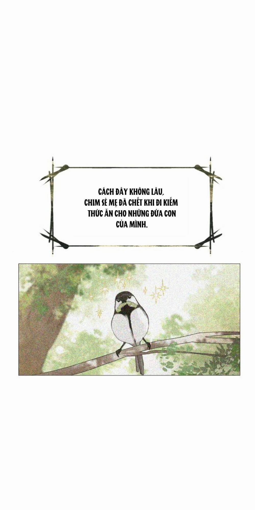 Khóc Đi, Hay Cầu Xin Tôi Cũng Được 4 trang 17