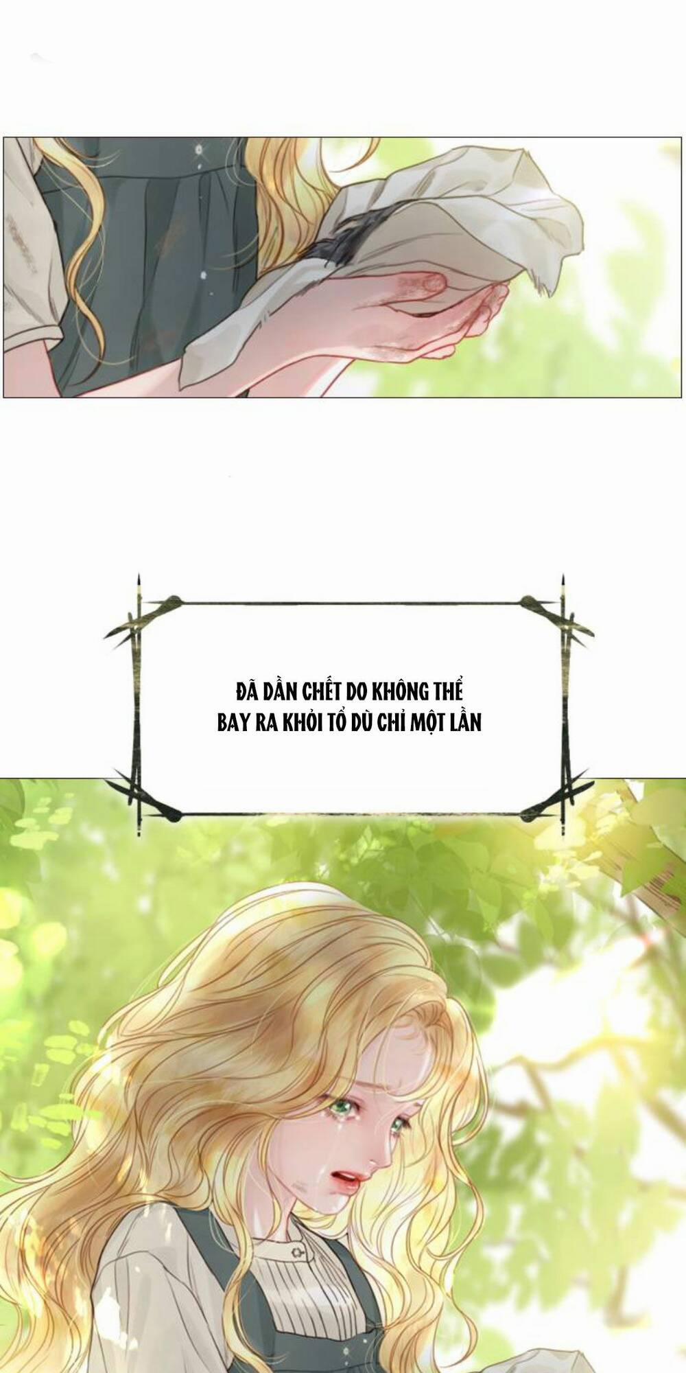 Khóc Đi, Hay Cầu Xin Tôi Cũng Được 4 trang 19