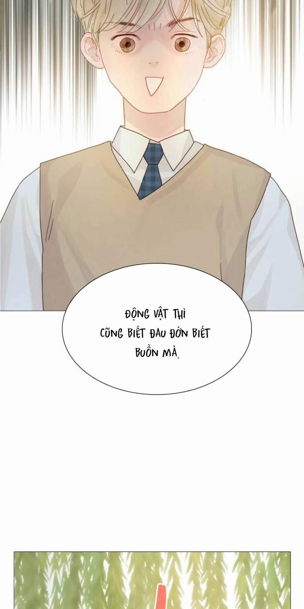 Khóc Đi, Hay Cầu Xin Tôi Cũng Được 4 trang 77