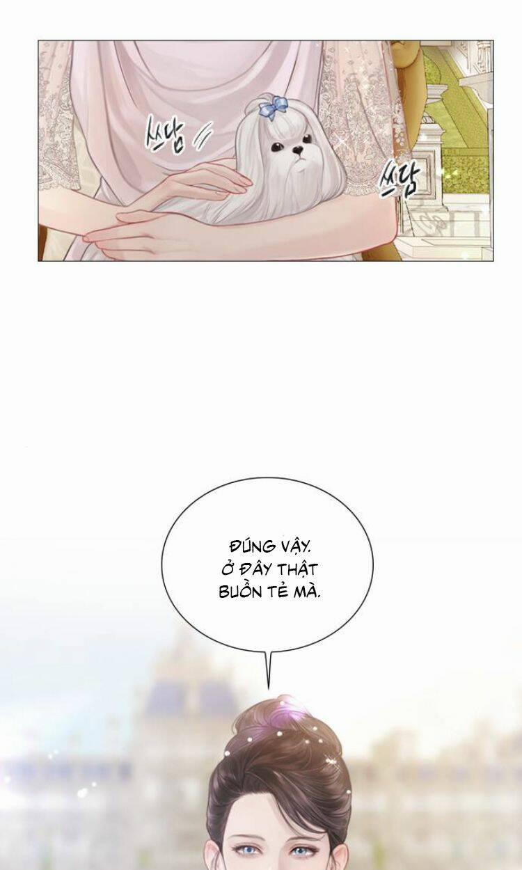 Khóc Đi, Hay Cầu Xin Tôi Cũng Được 5 trang 24