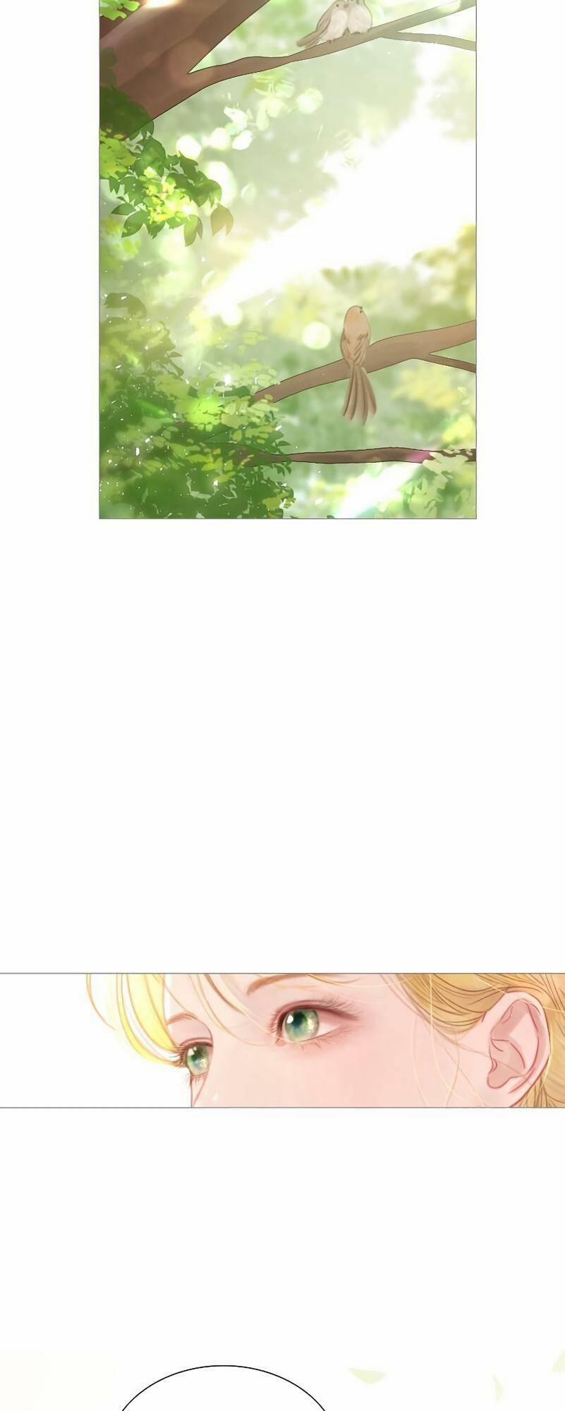 Khóc Đi, Hay Cầu Xin Tôi Cũng Được 8 trang 9