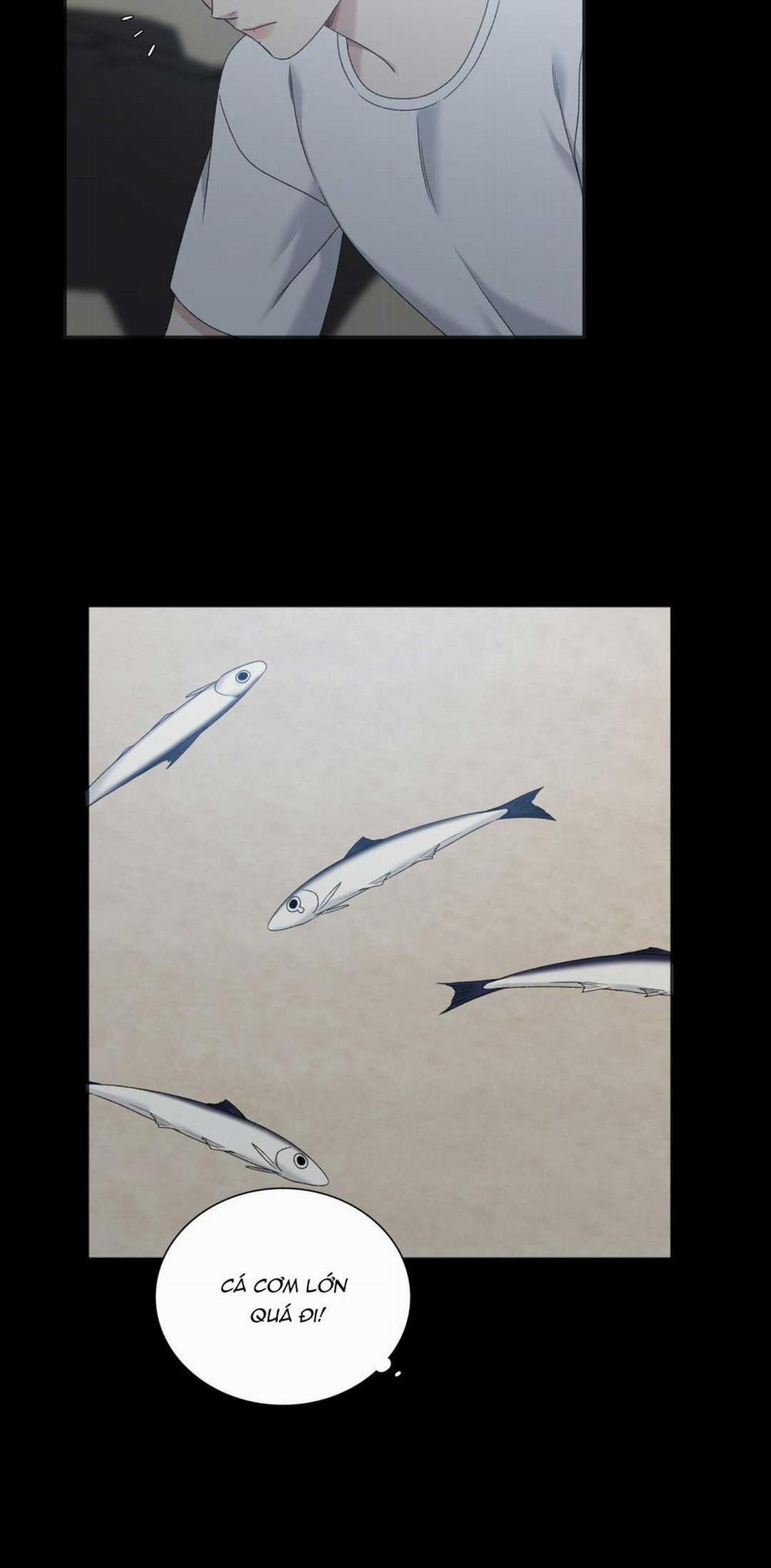 Khởi Đầu Sai Lầm 29 trang 9