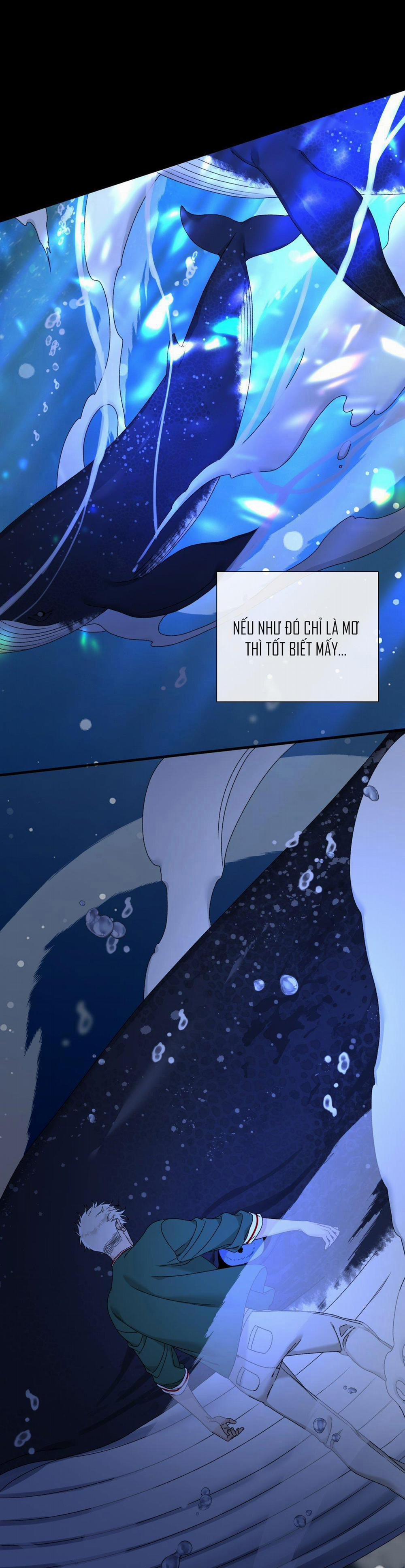 Khởi Đầu Sai Lầm 4 trang 21