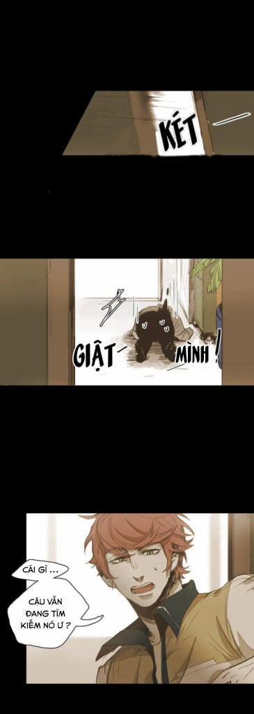 Không Bao Giờ Hiểu 23 trang 0