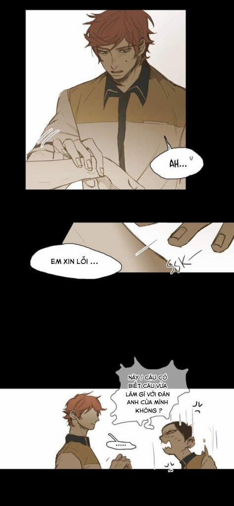 Không Bao Giờ Hiểu 23 trang 38