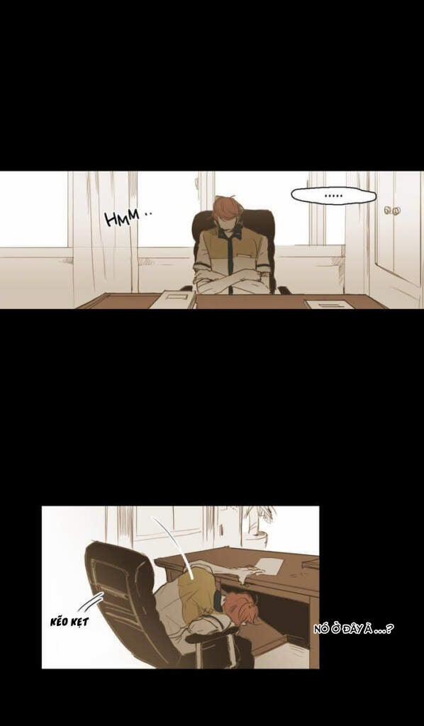 Không Bao Giờ Hiểu 23 trang 5