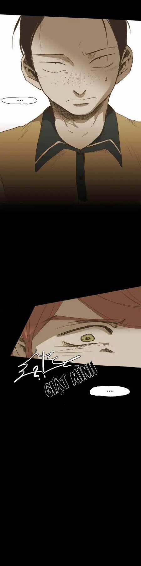 Không Bao Giờ Hiểu 25 trang 16