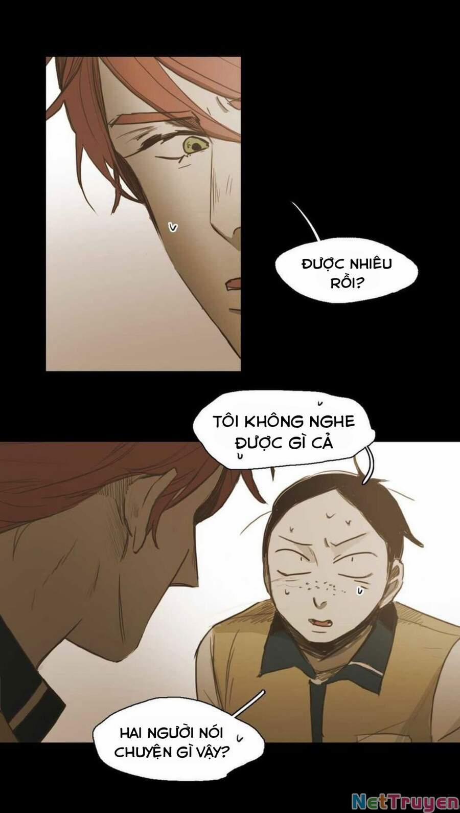 Không Bao Giờ Hiểu 40 trang 13