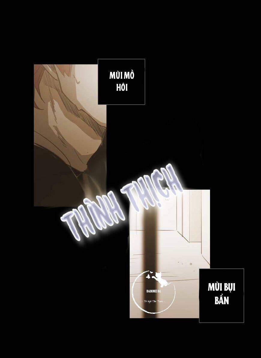 Không Bao Giờ Hiểu 41 trang 33