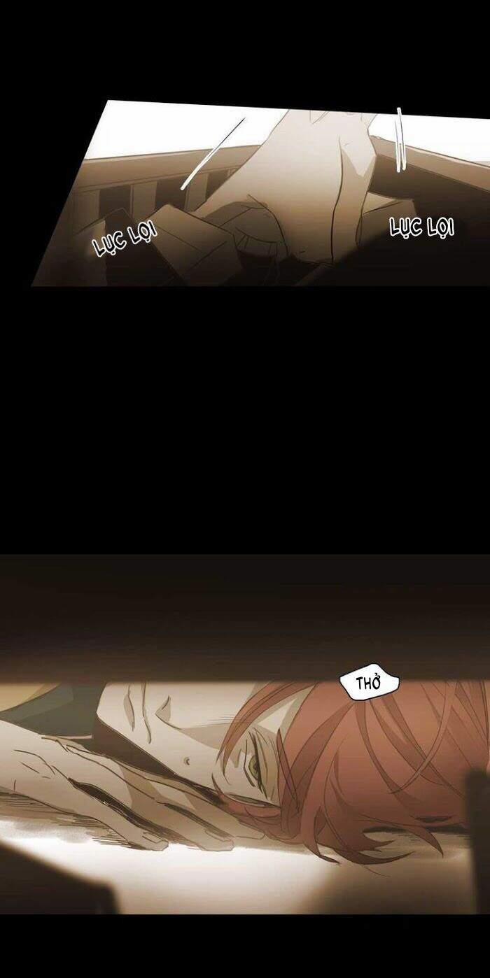 Không Bao Giờ Hiểu 46 trang 0