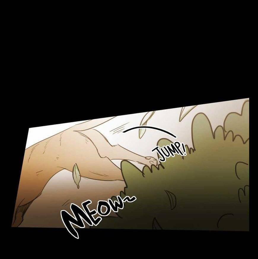 Không Bao Giờ Hiểu 55 trang 97