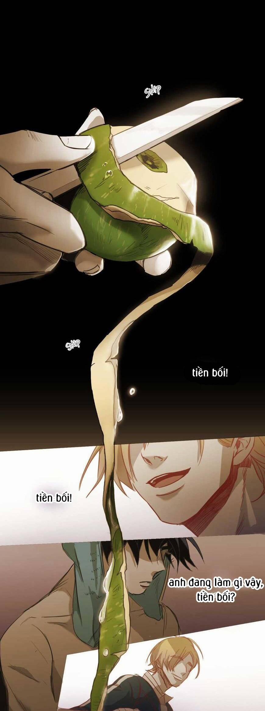 Không Bao Giờ Hiểu 56 trang 4