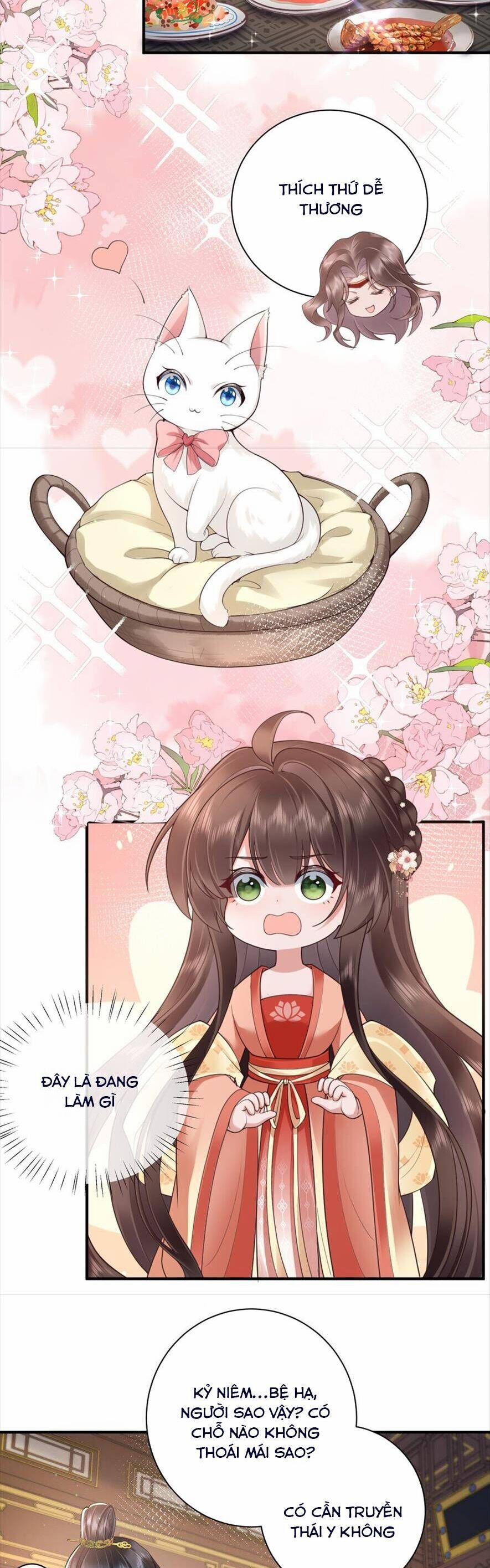 Không Biết Bệ Hạ Là Một Tiểu Cô Nương 23 trang 1