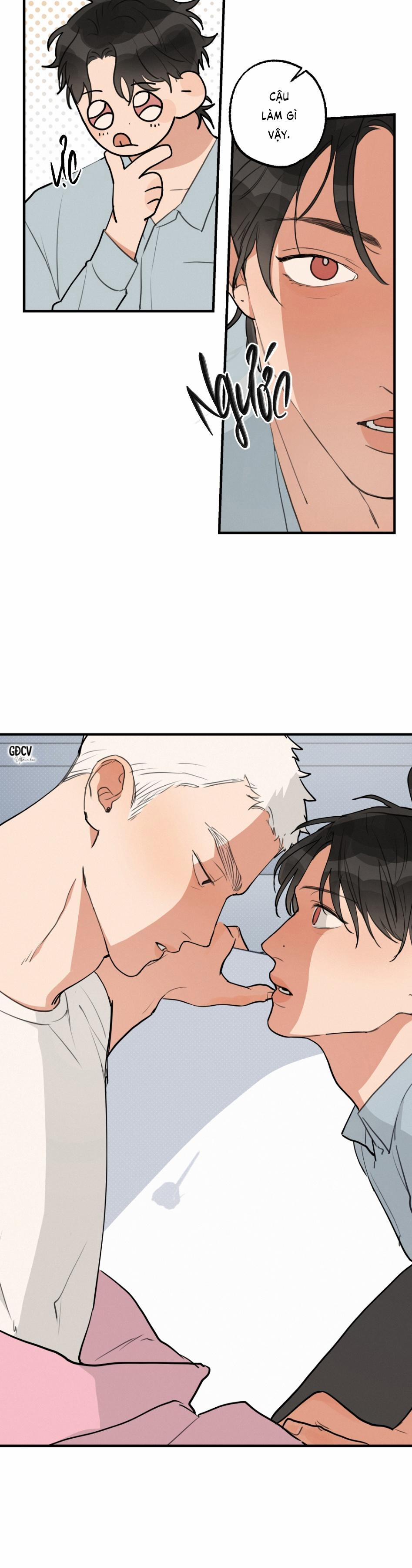 Không Cần Dọn Dẹp Đâu!! 3 trang 24