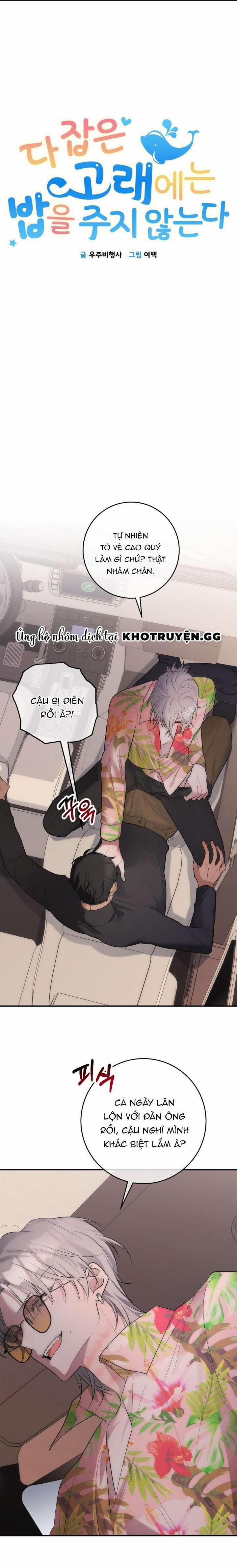 Không Cho Cá Voi Ăn Sau Khi Đã Bắt Được 4 trang 0