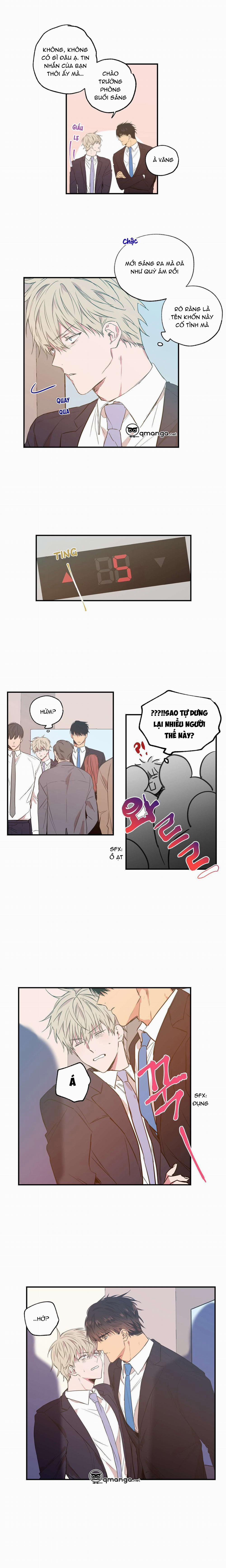 Không Chốn Yêu Đương 11 trang 7