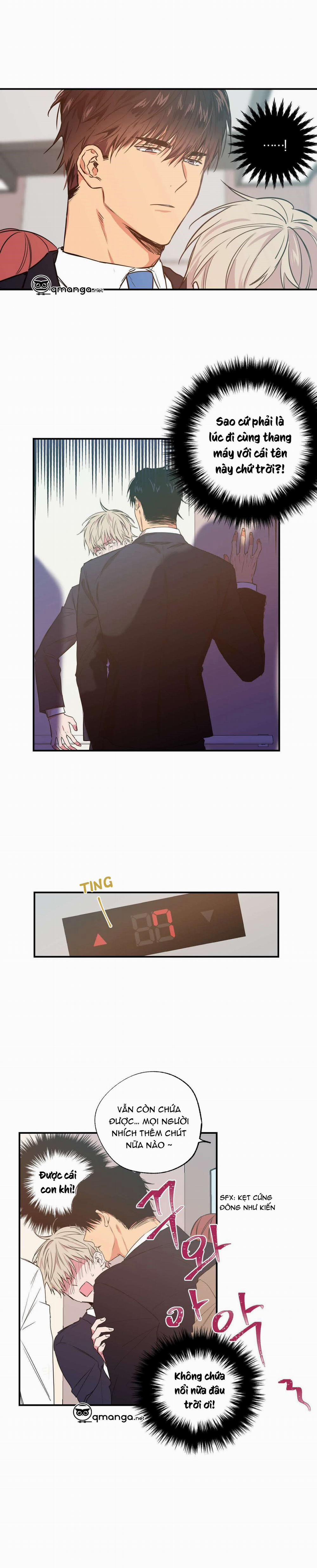 Không Chốn Yêu Đương 11 trang 8