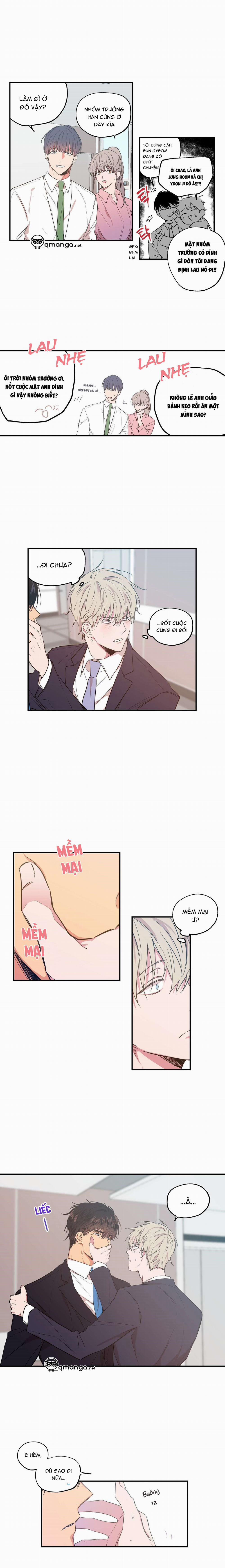 Không Chốn Yêu Đương 12 trang 1