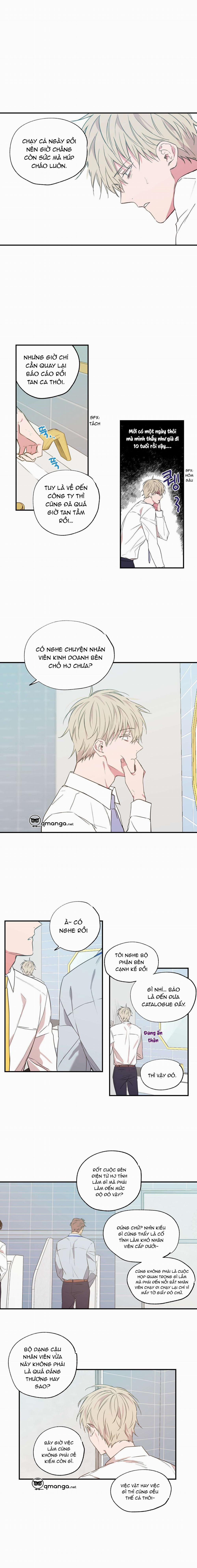 Không Chốn Yêu Đương 12 trang 5