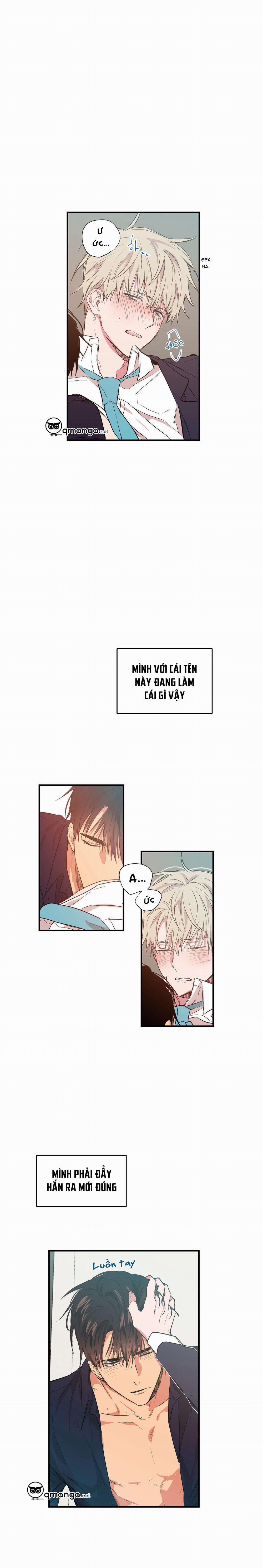 Không Chốn Yêu Đương 15 trang 8