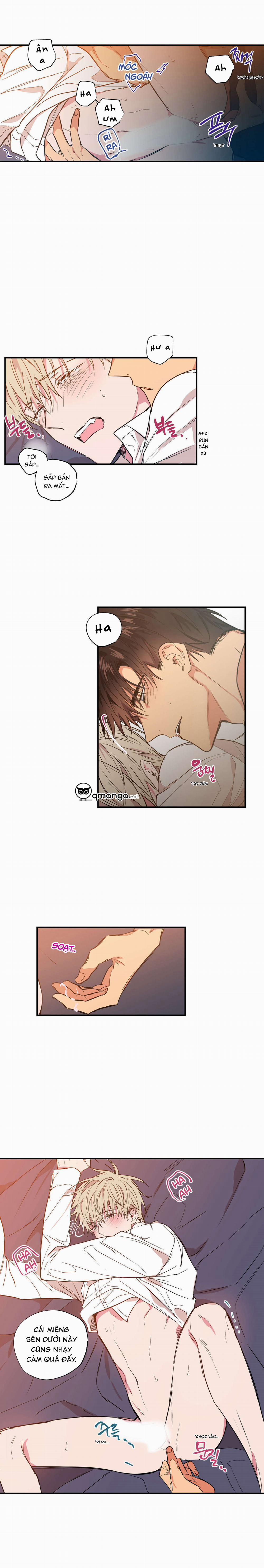 Không Chốn Yêu Đương 16 trang 2