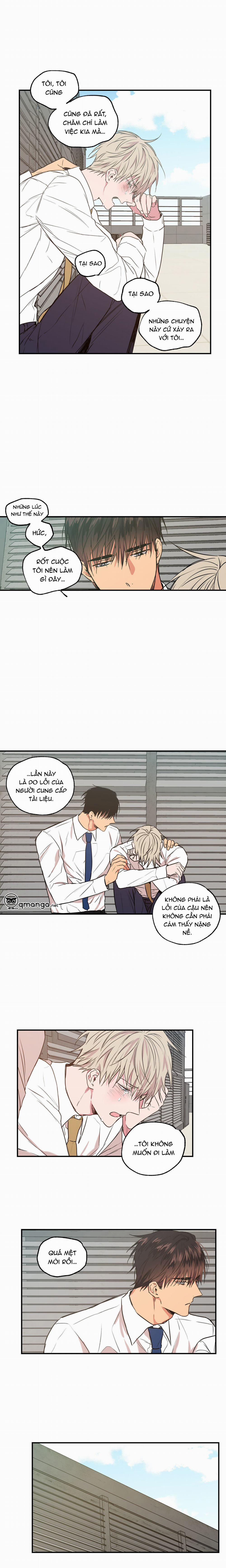 Không Chốn Yêu Đương 21 trang 8