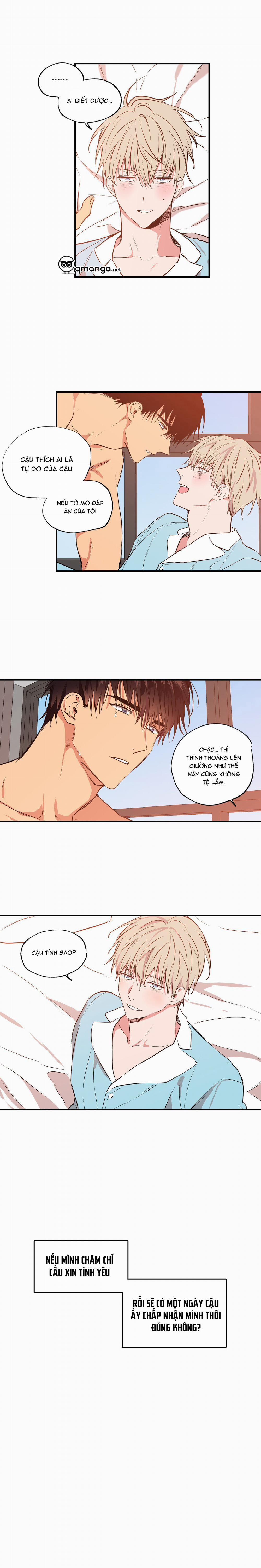 Không Chốn Yêu Đương 26 trang 7