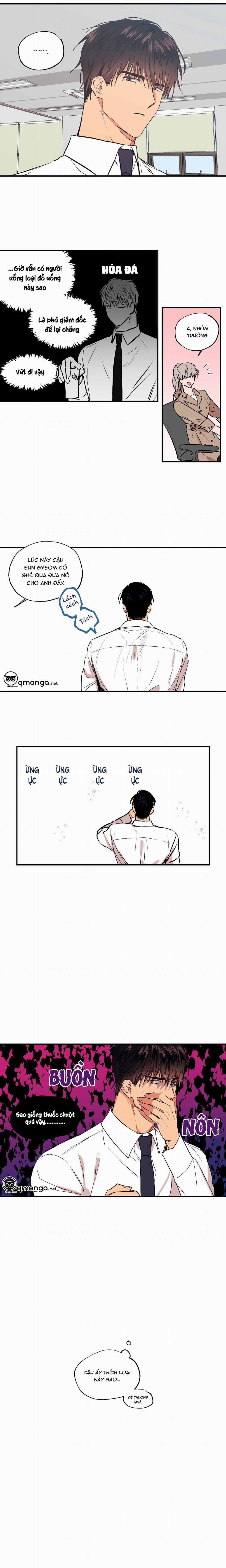 Không Chốn Yêu Đương 26 trang 9