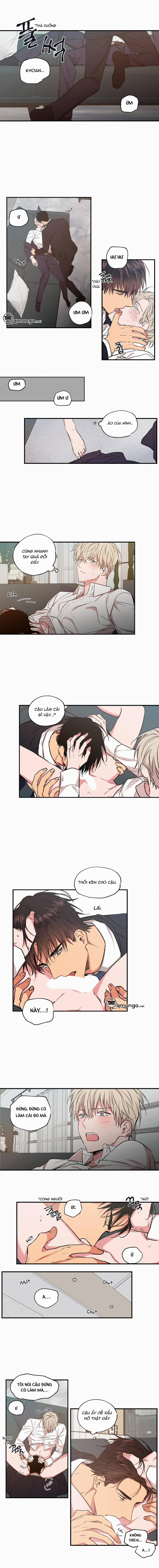 Không Chốn Yêu Đương 28 trang 2