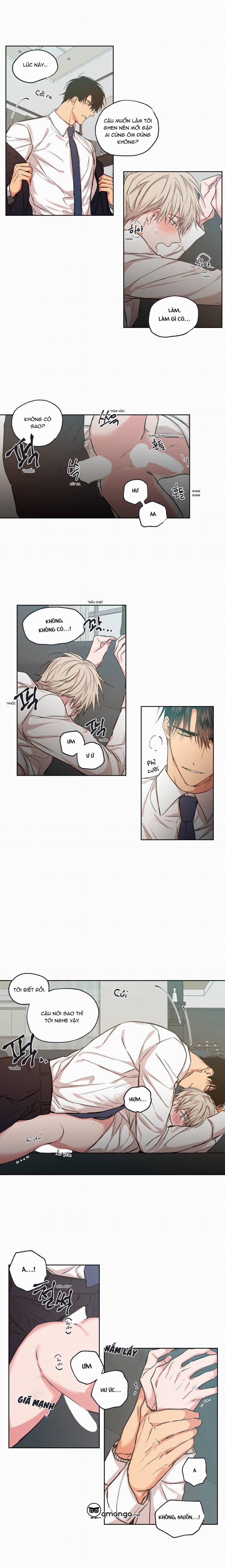 Không Chốn Yêu Đương 28 trang 5