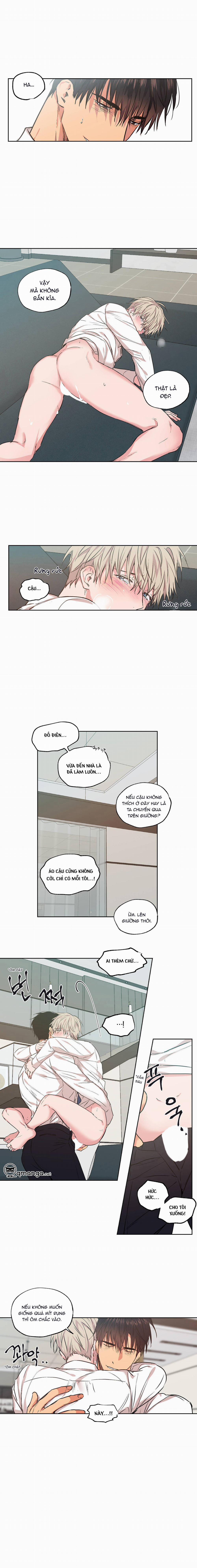 Không Chốn Yêu Đương 28 trang 8