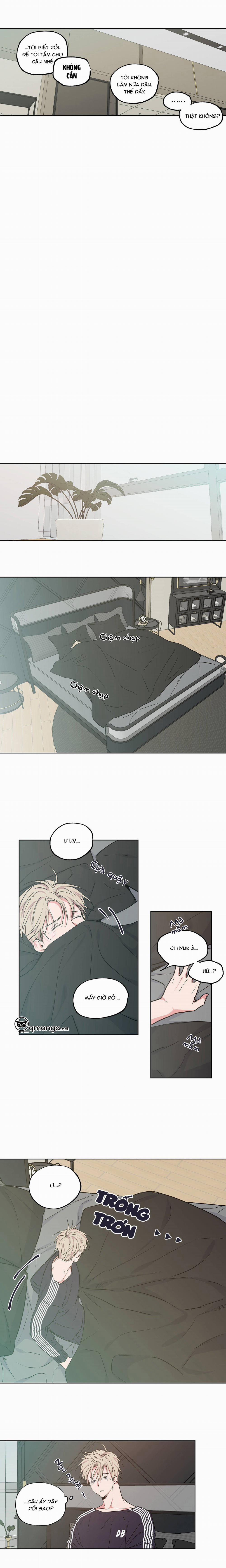 Không Chốn Yêu Đương 29 trang 5