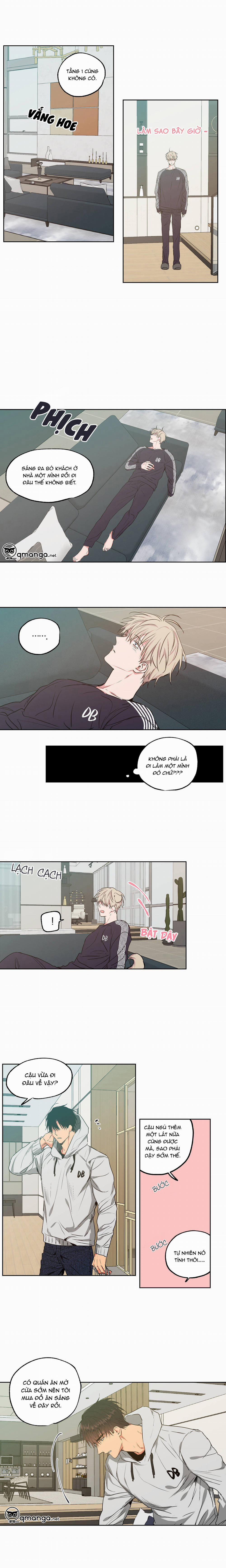 Không Chốn Yêu Đương 29 trang 6