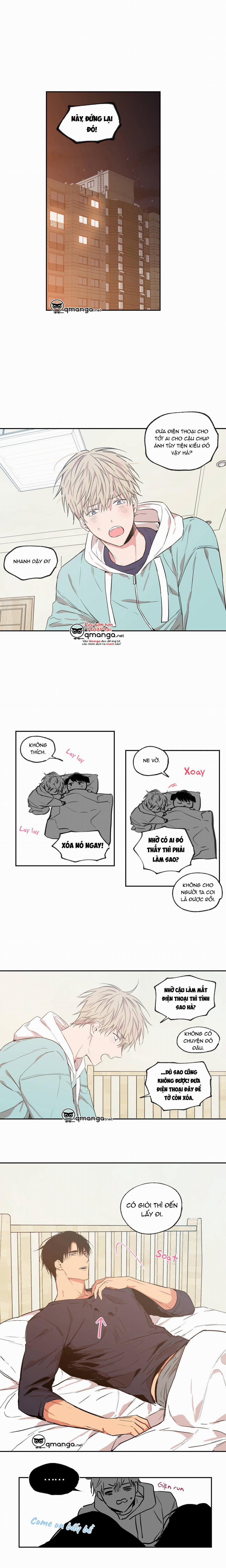 Không Chốn Yêu Đương 33 trang 0