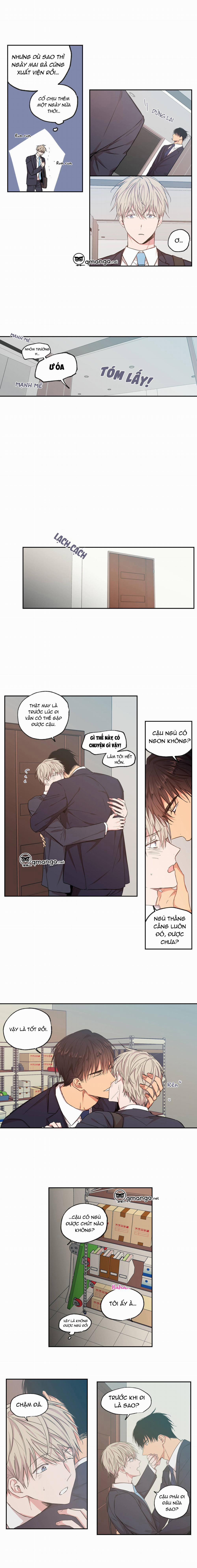 Không Chốn Yêu Đương 37 trang 5