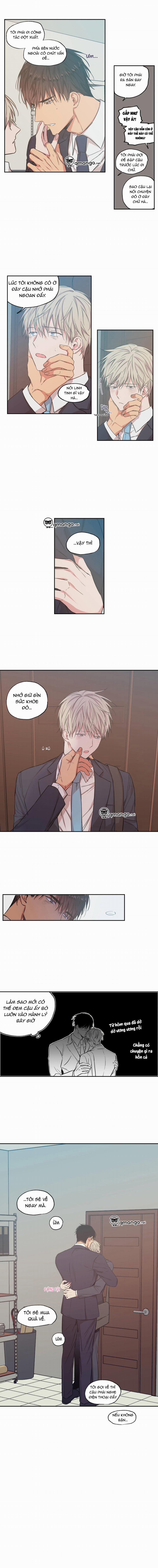 Không Chốn Yêu Đương 37 trang 6