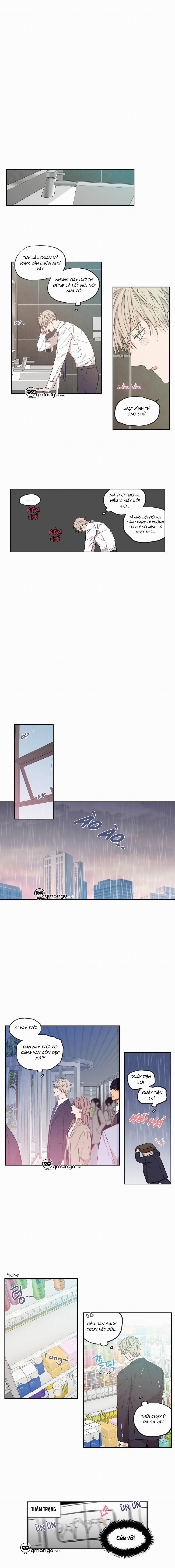 Không Chốn Yêu Đương 38 trang 3