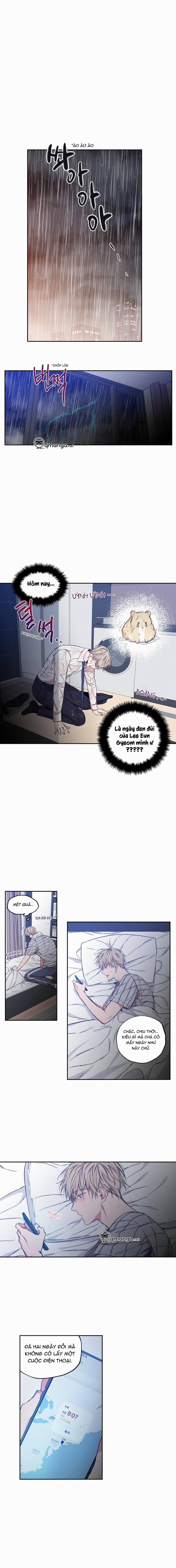 Không Chốn Yêu Đương 38 trang 4