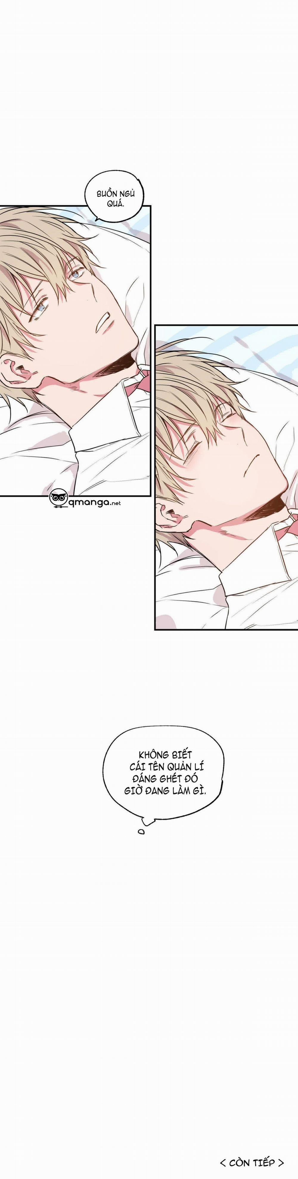 Không Chốn Yêu Đương 4 trang 11