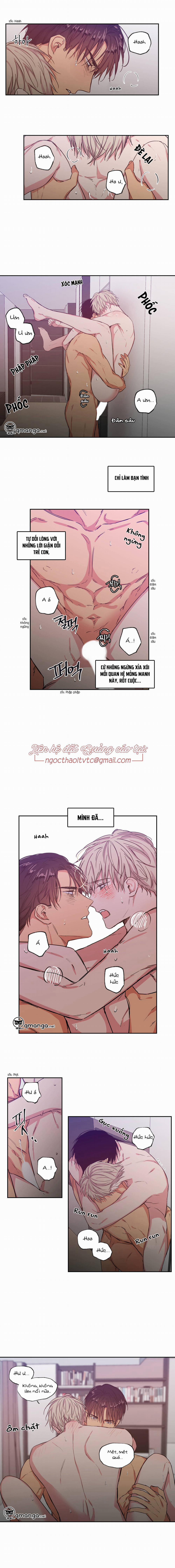 Không Chốn Yêu Đương 41 trang 3